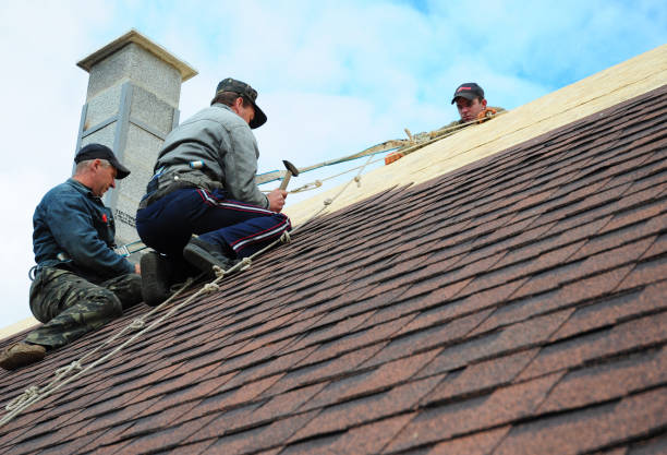 Quick and Trustworthy Emergency Roof Repair Services in Hemby Bridge, NC